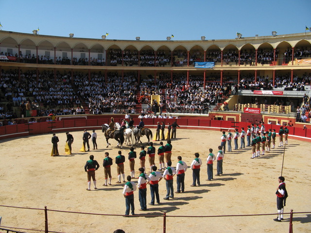 Figueira